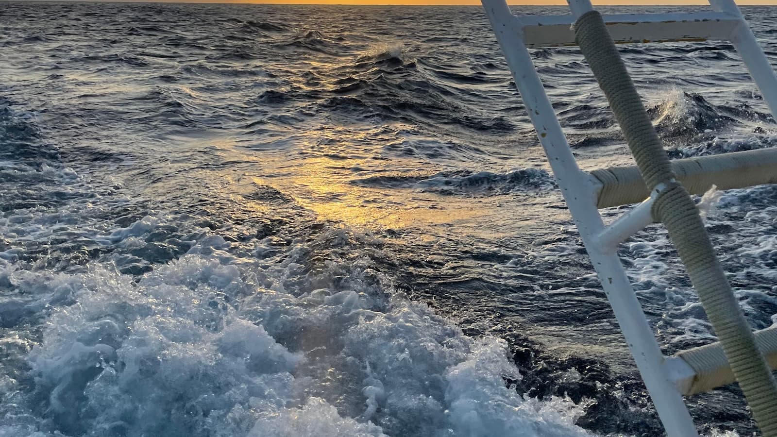 波が立つ海面とボートの手すり