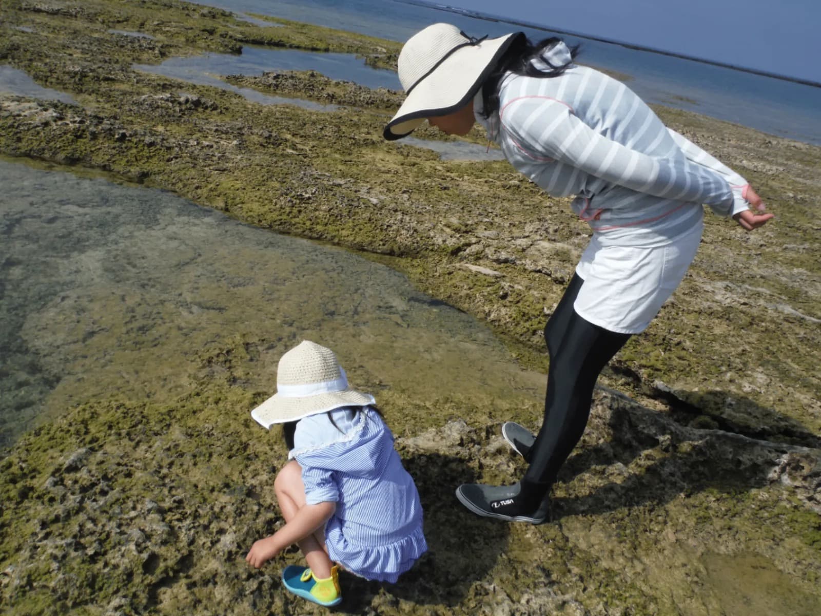 潮だまりで生き物を観察する磯遊び