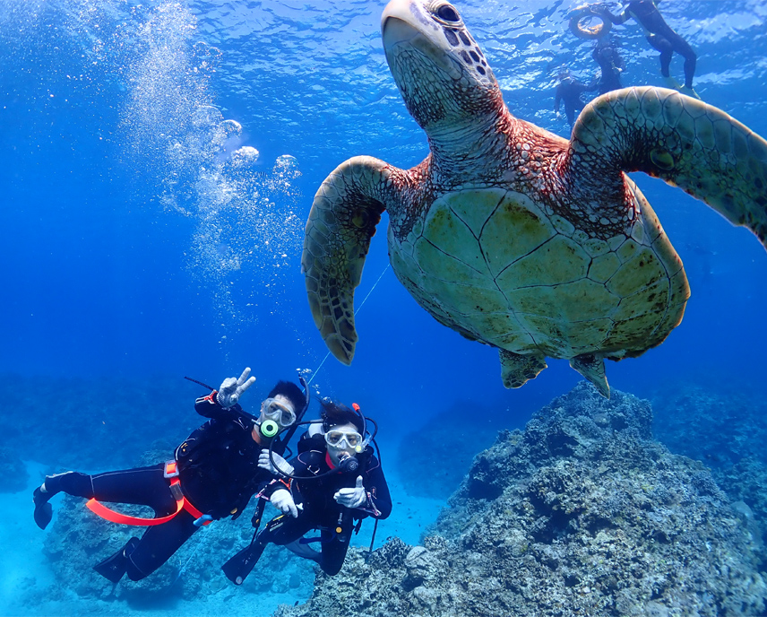 ディーズパルス沖縄の体験ダイビング。慶良間ブルーの海での潜水