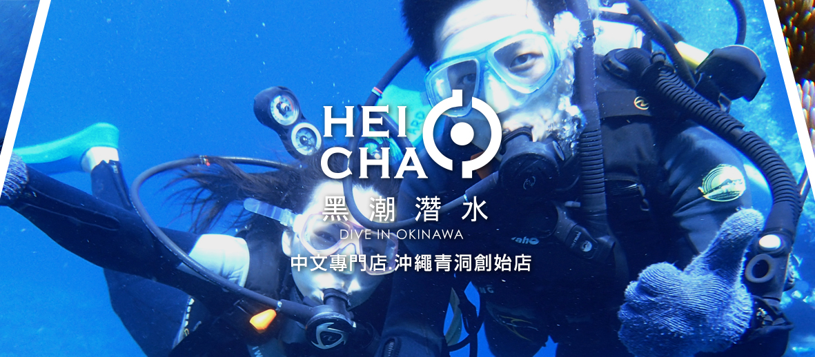 黒潮潜水のダイビング。中国語対応スタッフと安心のサービス
