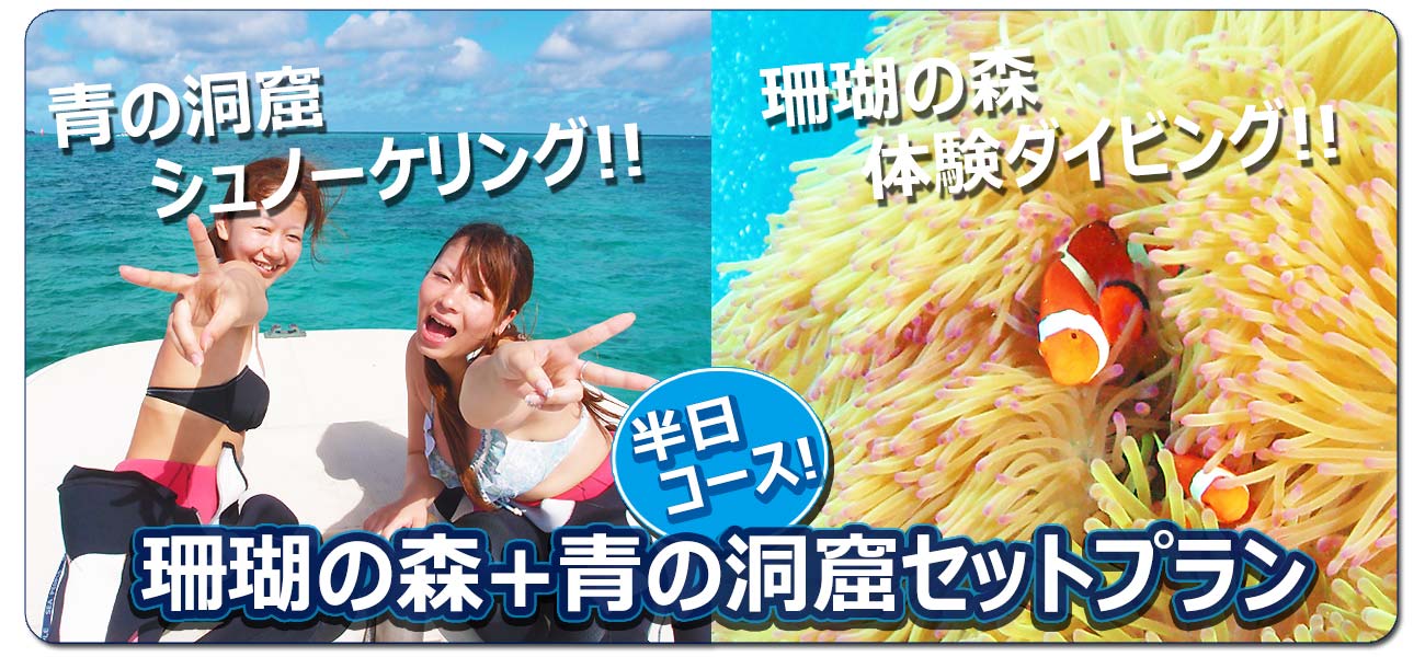 マリンクルーアゲインの青の洞窟セットメニュー